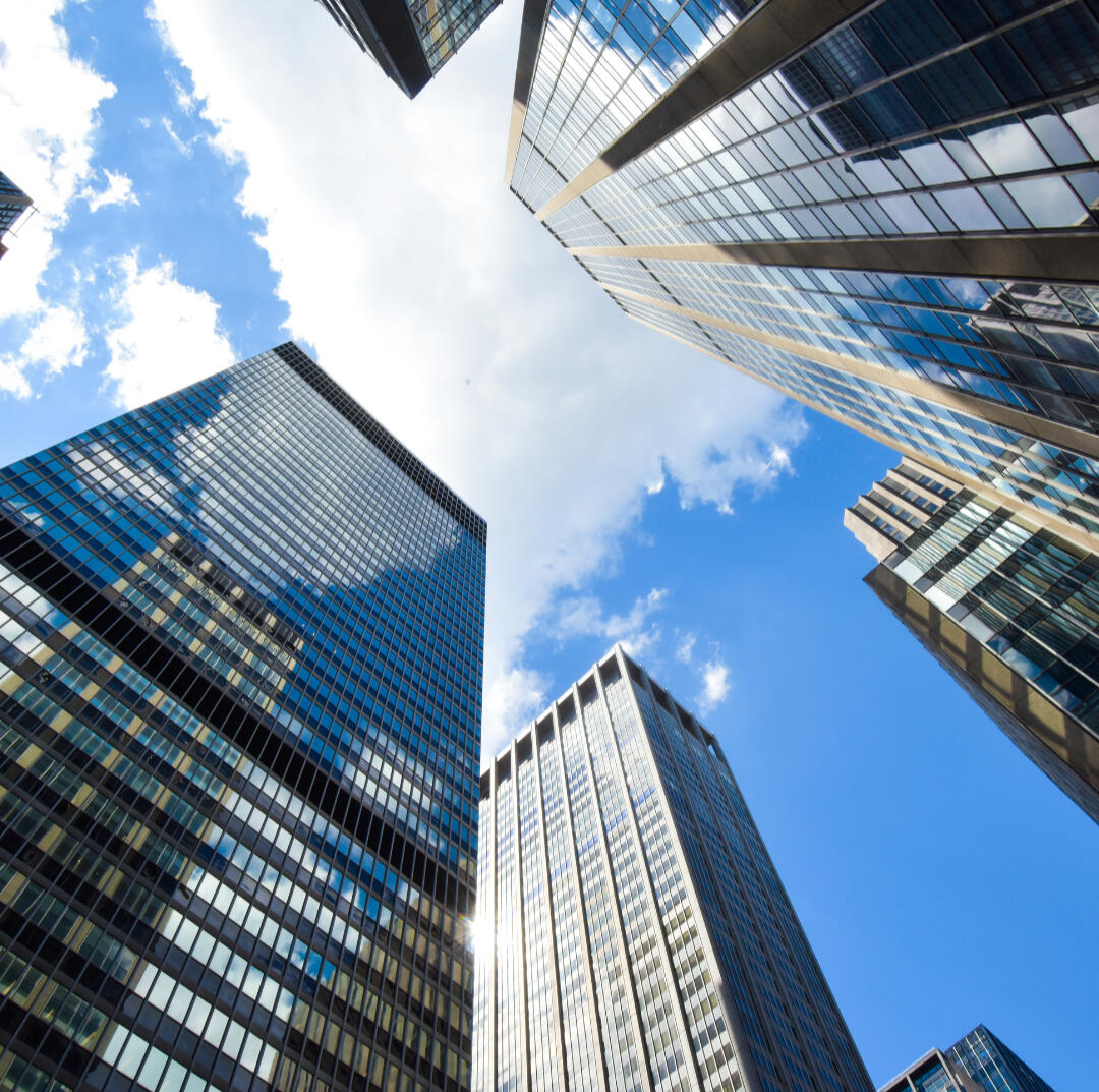 CORPORATIONS/LARGE BUSINESSES